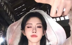 情感的禁区高清MV